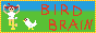 Teto Bird Brain